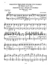 Liszt: Free Arrangements and Transcriptions - Volume 1