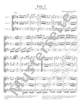Quantz: 2 Trios for 3 Flutes