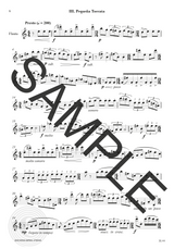 Brouwer: Sonata for Solo Flute