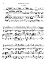 Schoenfeld: Last Silence