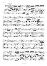 Bach: Violin Concerto in E Major, BWV 1042