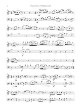 Shatin: When the Moon of Wildflowers is Full