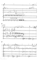 Sollberger: Thin Music / Thick Music