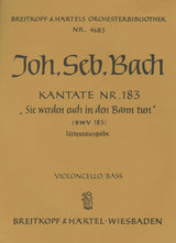 Bach: Sie werden euch in den Bann tun, BWV 183