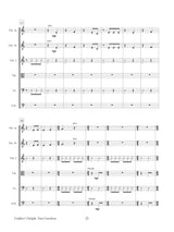 Davidson: Fiddlers' Delight