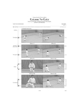 Robin: Katame no kata