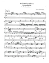 T.W. Owens: Beneath Ancient Trees, Facing the Sky