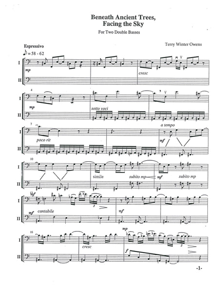 T.W. Owens: Beneath Ancient Trees, Facing the Sky