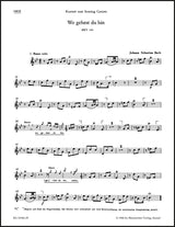 Bach: Wo gehest du hin?, BWV 166