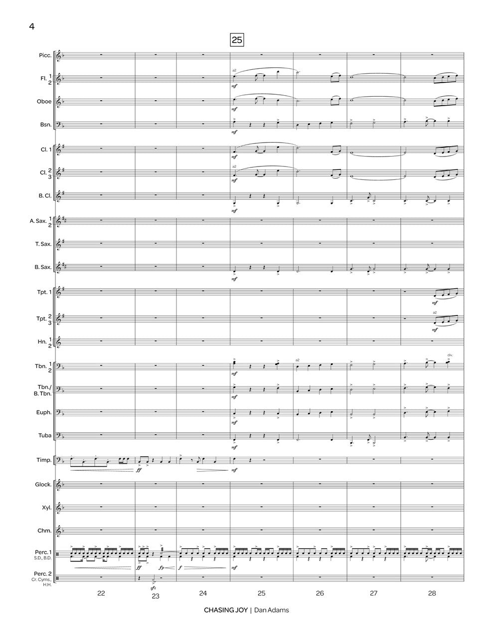 D. Adams: Chasing Joy