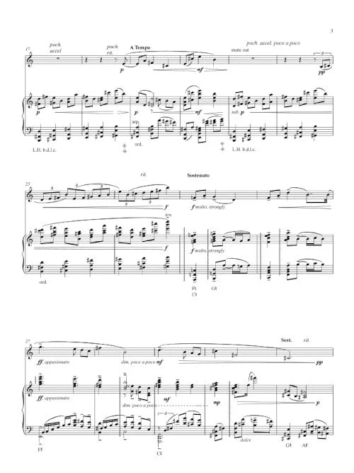 Kernis: Elegy - for those we lost (Version for Trumpet and Harp)