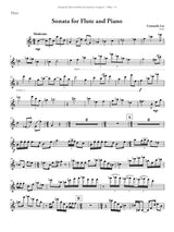 Sonatas for Flute & Piano by American Composers