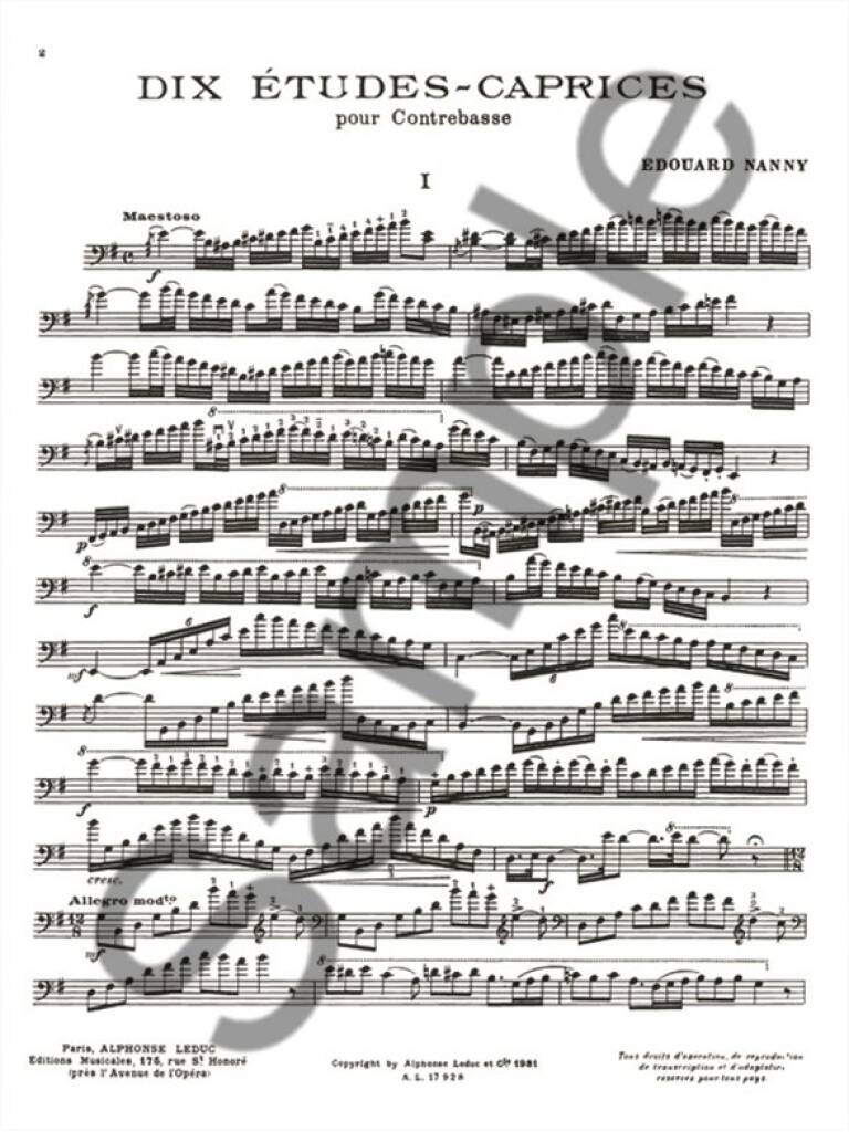 Nanny: 10 Études-Caprices