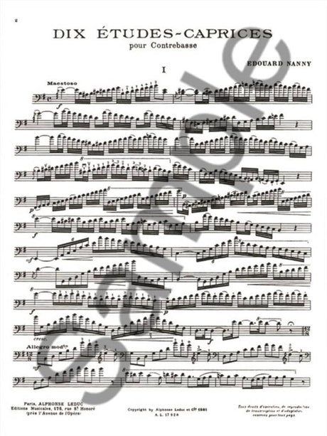 Nanny: 10 Études-Caprices