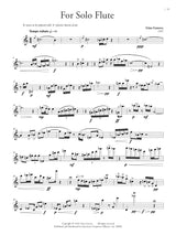 Flute Music of New York