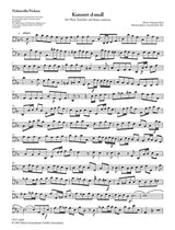 Bach: Oboe Concerto in D Minor, BWV 1059R