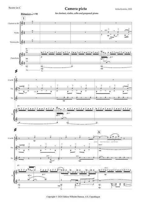 Byström: Camera Picta
