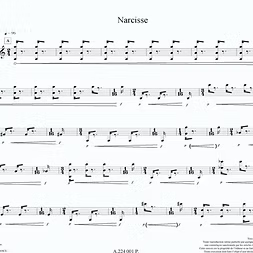 Fargeton: Narcisse