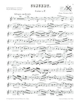 F. Strauss: Horn Concerto No. 1 in C Minor, Op. 8