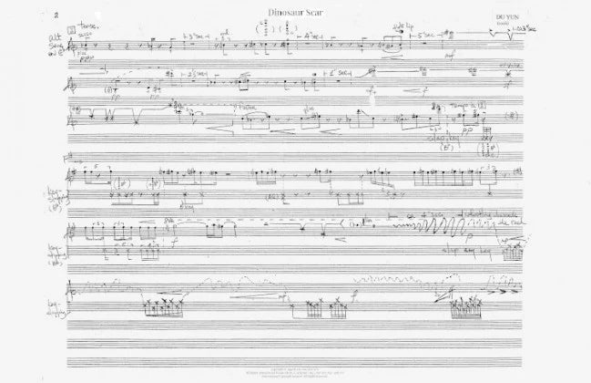 Du Yun: Dinosaur Scar