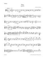 Brahms: Piano Trio in C Major, Op. 87