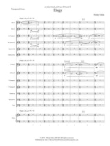 Sohn: Elegy