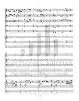 Bédard: Concerto for Organ and String Orchestra