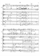 Van de Vate: Harp Concerto