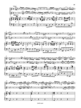 Bach: Concerto for 2 Violins in D Minor, BWV 1043