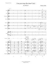 Sohn: Can you stop the time? (No) (Version for Chamber Orchestra)