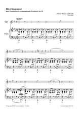 Kalivoda: Divertissement, Op. 58