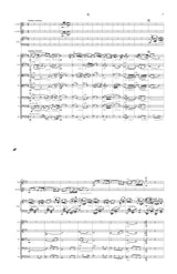 Weigl: Piano Concerto in F Minor, Op. 21