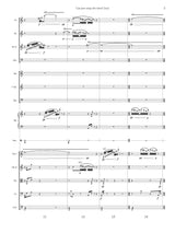 Sohn: Can you stop the time? (No) (Version for Chamber Orchestra)