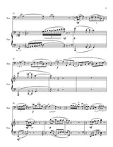 Jazwinski: Wind Shadows