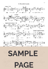 Brouwer: Sonata Homo Ludens No. 8