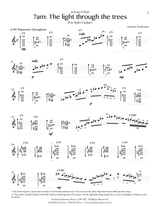 Sankaram: 7am the light through the trees