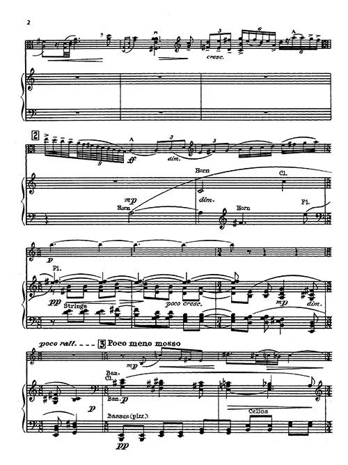 Porter: Viola Concerto