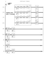 Steinke: Small Concerto