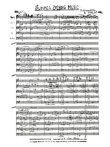 Weigl: Summer Evening Music