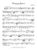 Flute Music of New York