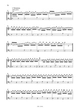 Corrette: Concerto for Violin & Harpsichord, Op. 26, No. 5