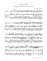 Quantz: Flute Sonata in D Major, QV 1:Anh.15a