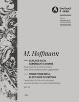 Hoffmann: Schlage doch, gewünschte Stunde, BWV 53