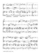 Doppler: Andante and Rondo, Op. 25 (arr. for 2 clarinets & piano)