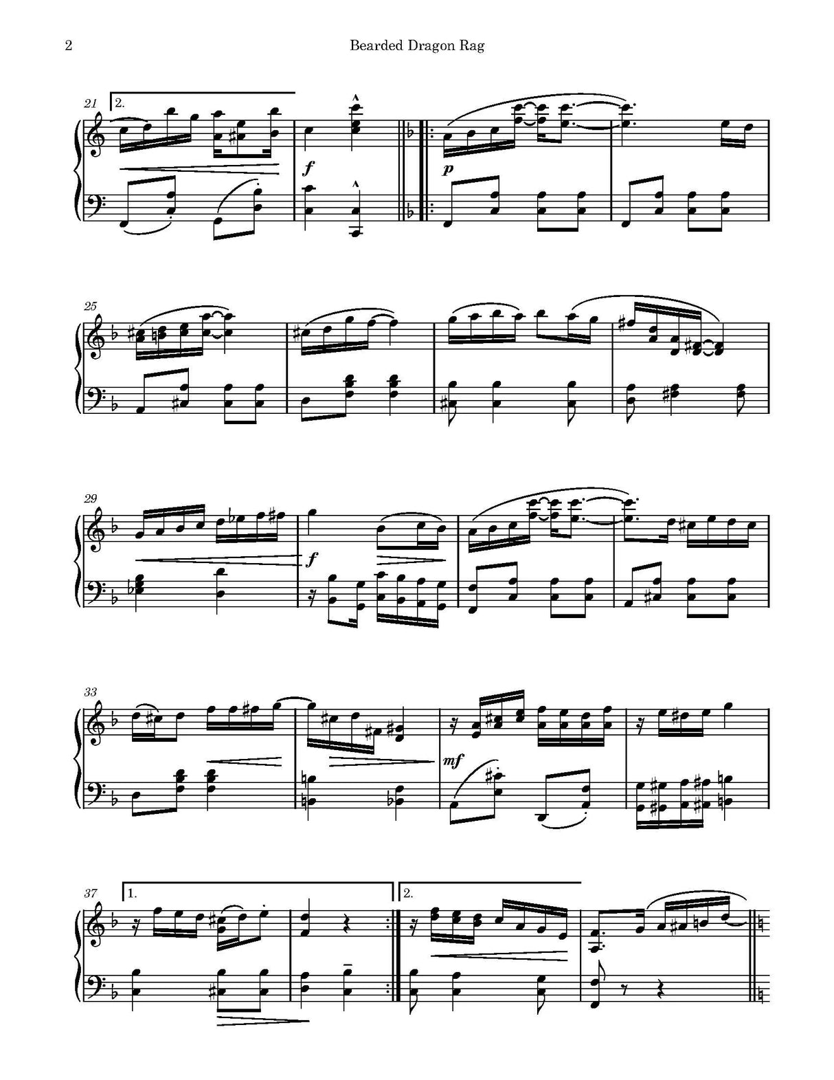 Belcher: Bearded Dragon Rag