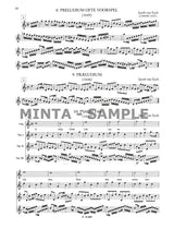 Bali: A Baroque Ornamentation Tutor for Recorder