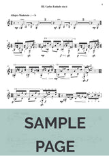 Brouwer: Sonata Cubana No. 7