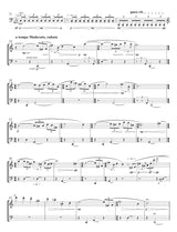 Trojahn: Mendelssohns Möwen