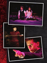 Sheik: Spring Awakening
