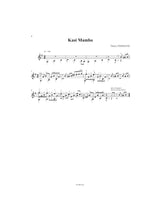 Tisserand: Couleurs latines